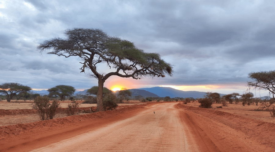 safari in Kenya