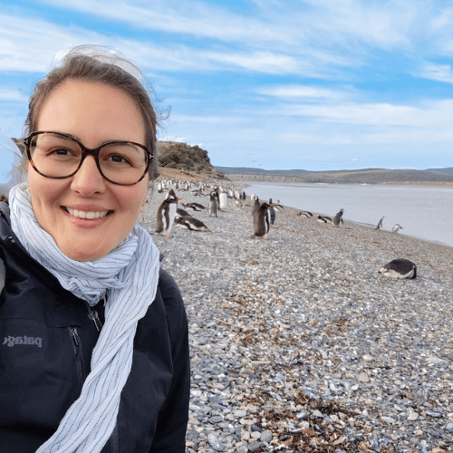 argentine patagonia isla martillo