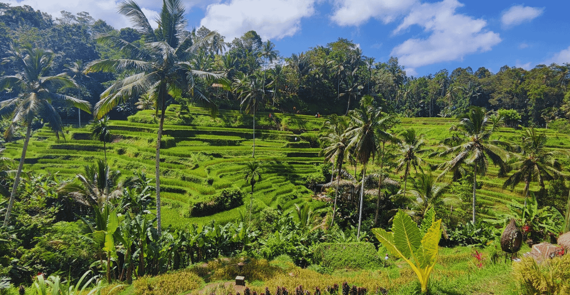 Bali en dos semanas: La Guía Definitiva para un Viaje Inolvidable a esta Isla de Indonesia en 15 días.